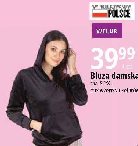 Bluza damska s-2xl promocja