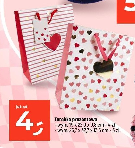 Torebka prezentowa 19 x 22.9 x 9.8 cm promocja w Dealz