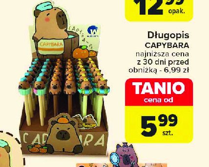 Długopis capybara Wikam promocja