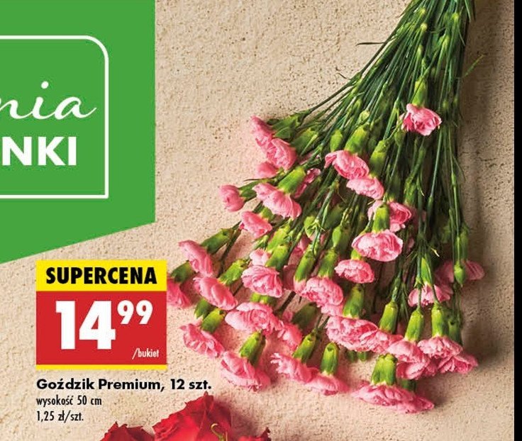 Goździk promocja