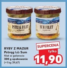 Pstrąg filet w galarecie Ryby z mazur promocja