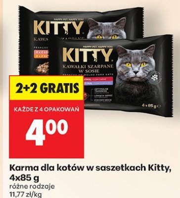 Karma dla kotów w saszetkach  różne rodzaje promocja w Biedronka