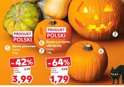 Dynia promocja w Kaufland