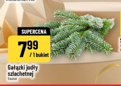Gałązki jodły szlachetnej 1 bukiet promocja w POLOmarket