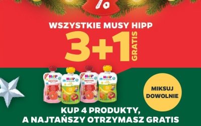 Wszystkie musy Hipp 3+1 GRATIS promocja w Netto