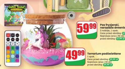 Terrarium podświetlane promocja w Dino