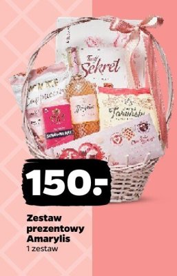 Zestaw prezentowy Amaryllis promocja w Netto