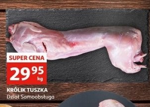 Królik tusza promocja