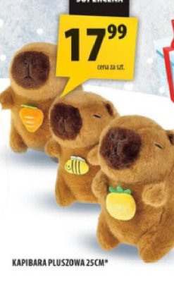 Kapibara pluszowa 25cm promocja w Arhelan