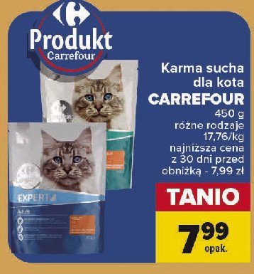 Karma dla kota expert CARREFOUR COMPANINO promocja