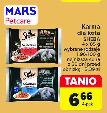 Karma dla kota z wołowiną w sosie Sheba promocja w Carrefour