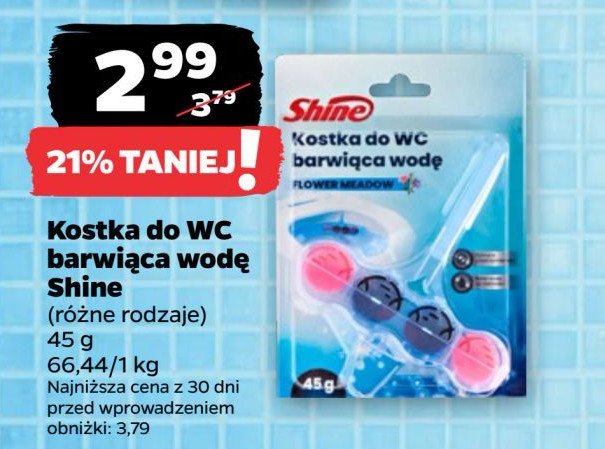 Kostka do wc flower meadow Shine classic promocja