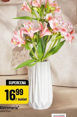 Alstromeria bukiet 8 szt. promocja w POLOmarket