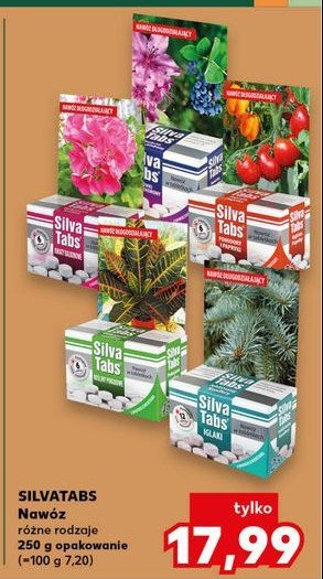Nawóz w tabletkach do róż Silva tabs promocja w Kaufland