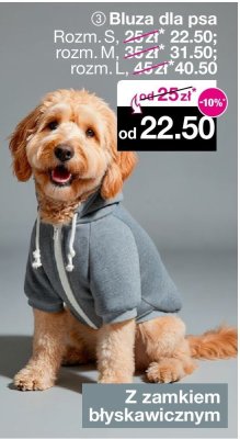 Bluza dla psa promocja w Woolworth
