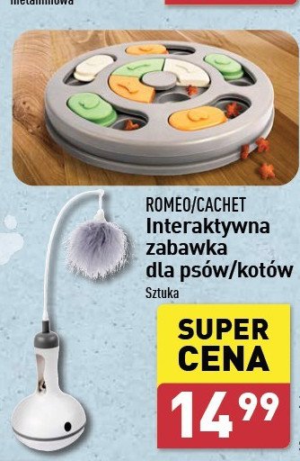 Zabawka dla psa interaktywna Romeo promocja