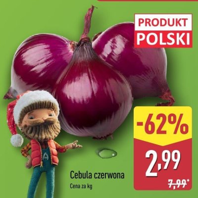 Cebula promocja w Aldi