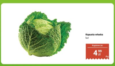 Kapusta promocja w Dino