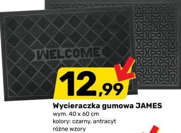 Wycieraczka gumowa JAMES promocja w Bricomarche