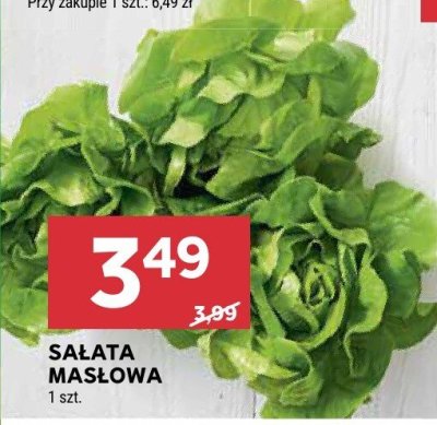 Sałata masłowa Stokrotka promocja w Stokrotka