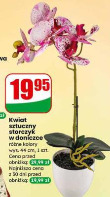 Kwiat sztuczny storczyk w doniczce promocja w Dino