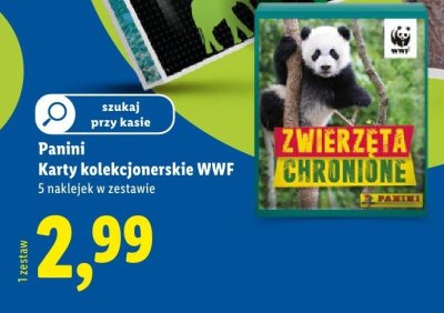 Karty kolekcjonerskie WWF Panini promocja w Lidl