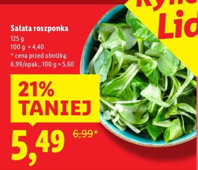 Sałata roszponka promocja w Lidl