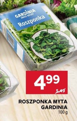 Roszponka myta Gardinia promocja w Stokrotka