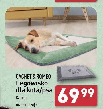 Legowisko dla kota 70 x 60 cm Cachet&romeo promocja