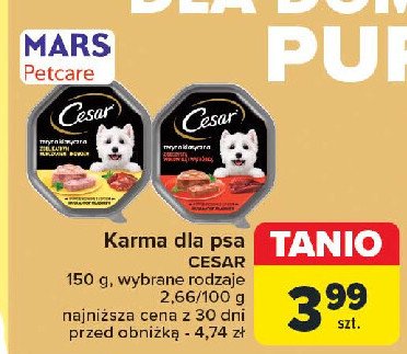 Karma dla psa teryna klasyczna z delikatnym kurczakiem i indykiem Cesar (karma) promocja