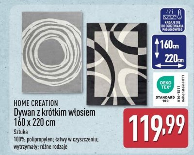 Dywan z krótkim włosiem 160x220 cm promocja w Aldi