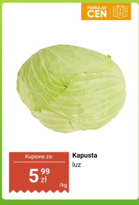 Kapusta biała luz promocja w Dino