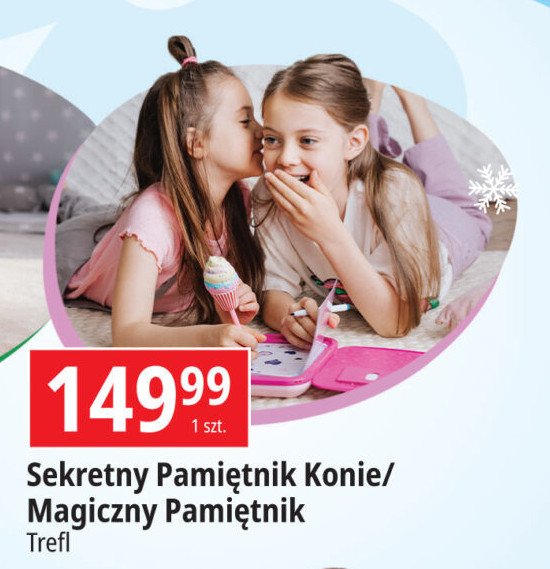 Magiczny pami臋tnik Vtech promocja