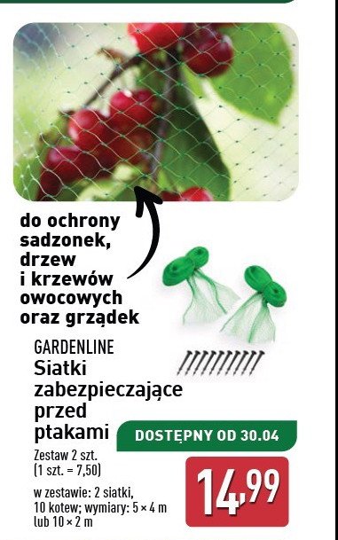 Siatka chroniąca przed ptakami 4 x 5 m promocja w Aldi