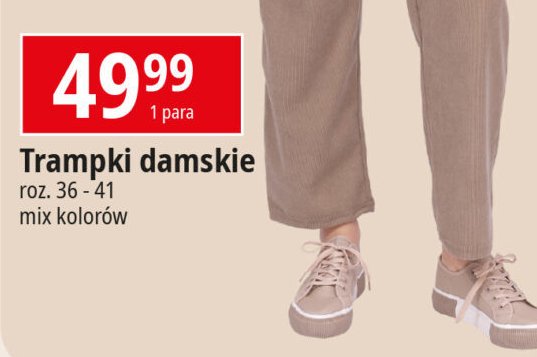 Trampki damskie 36-41 promocja w Leclerc