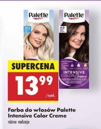 Farba do włosów Ultrapopielaty Blond a10 Palette Intensive Color Creme promocja