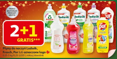 Płyny do naczyń Ludwik, Frosch, Pur lub oznaczone logo 0,25-5 kg/0,25-1,035 L, miksuj dowolnie promocja w Auchan