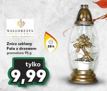 Znicz fala drzewko Ma艂gorzata promocja