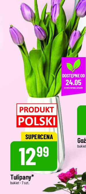 Tulipany polskie promocja
