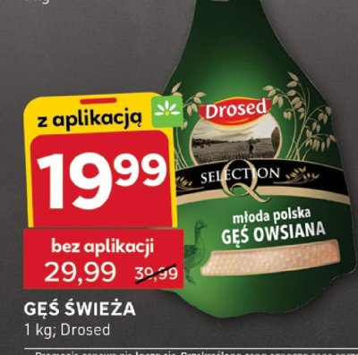 Gęś promocja w Stokrotka