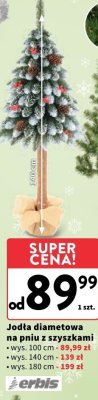 Jodła diametowa na pniu z szyszkami 180 cm promocja w Intermarche