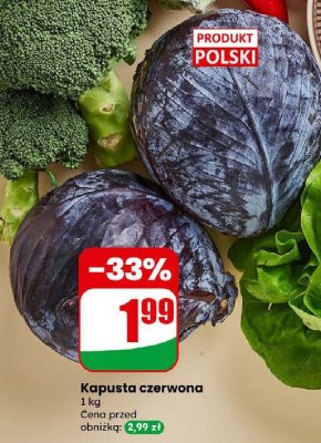 Kapusta czerwona promocja w Dino