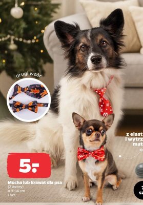 Mucha lub krawat dla psa promocja w Netto
