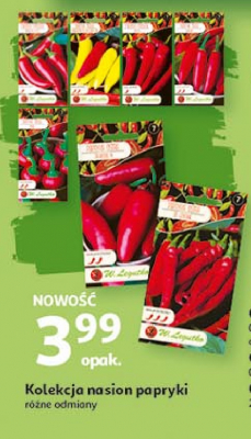 Nasiona papryka ostra cyklon promocja
