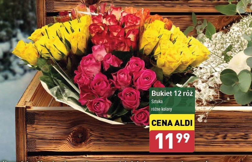 Róże bukiet promocja w Aldi