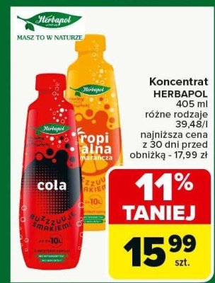 Koncentrat Herbapol różne rodzaje 405 ml promocja w Carrefour