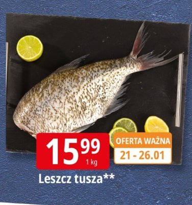 Leszcz tusza promocja w Leclerc