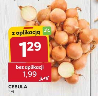 Cebula dymka ze szczypiorkiem pęczek promocja w Stokrotka