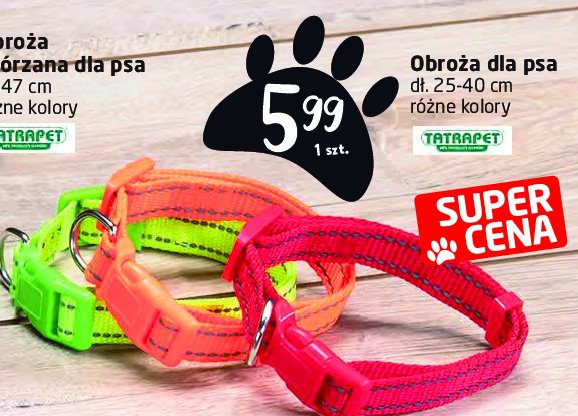 Obroża dla psa 25-40 cm Tatrapet promocja
