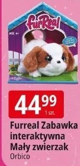 Furreal Zabawka interaktywna Mały zwierzak promocja w Leclerc